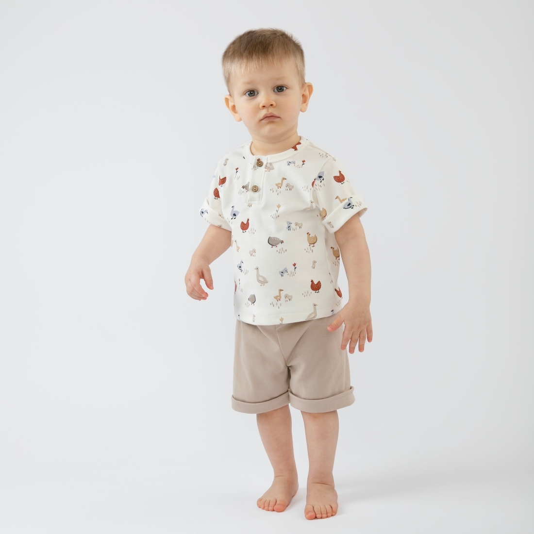 Комплект футболка+шорты "Зернышки", курочки